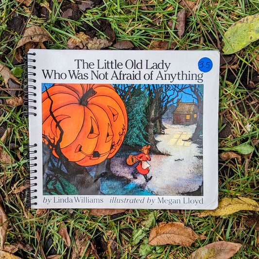 The Little Old Lady Who Was Not Afraid of Anything - Recycled Notebook