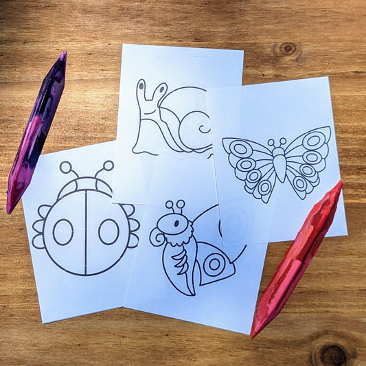 Bug Coloring Cards Pack