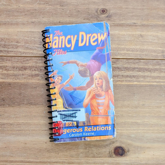 The Nancy Drew Flies - Recycled Notebook